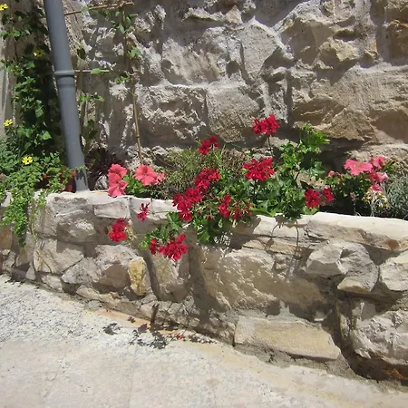 Bed And Breakfast Smokvica Smokvica (Korcula)